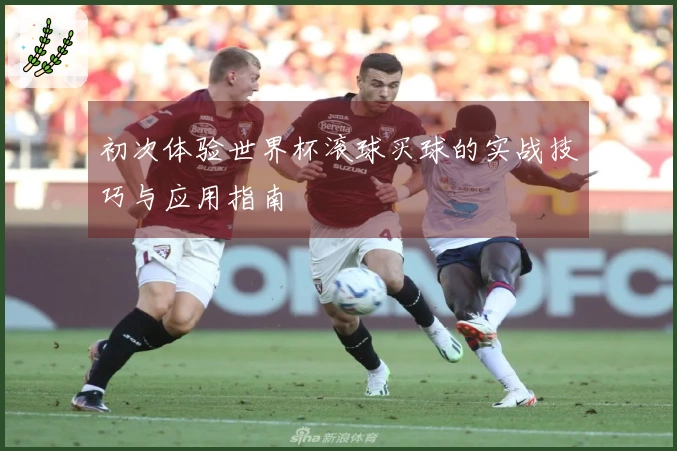 初次体验世界杯滚球买球的实战技巧与应用指南