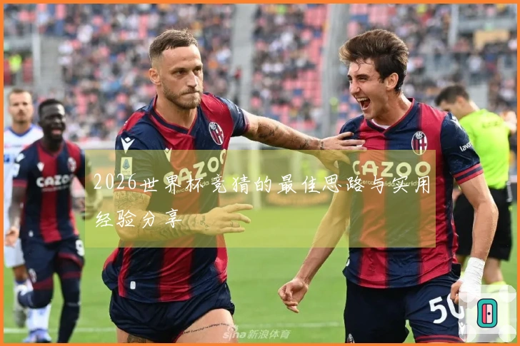 2026世界杯竞猜的最佳思路与实用经验分享