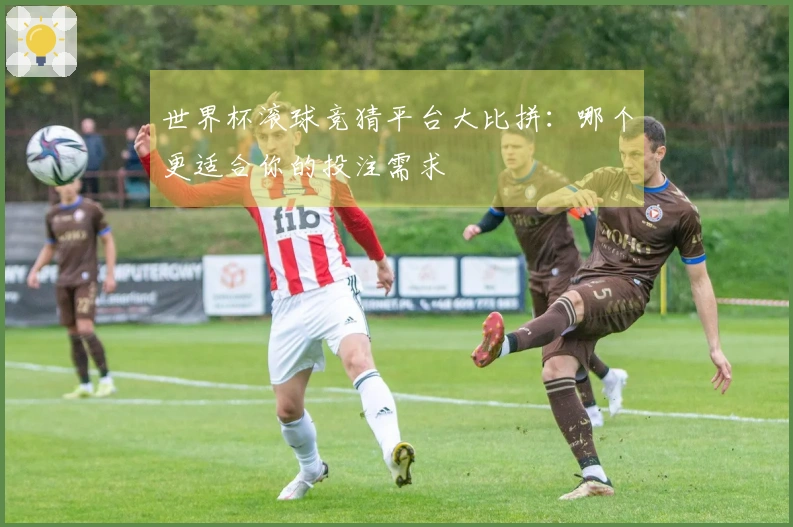 世界杯滚球竞猜平台大比拼：哪个更适合你的投注需求