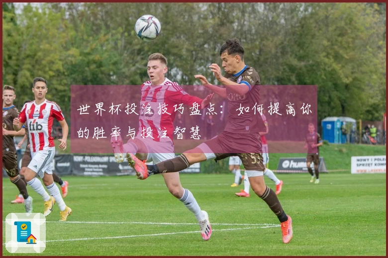 世界杯投注技巧盘点：如何提高你的胜率与投注智慧