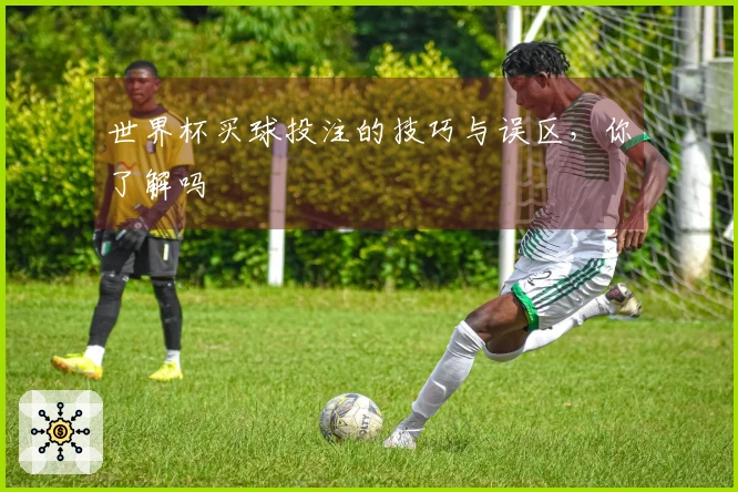 世界杯买球投注的技巧与误区，你了解吗