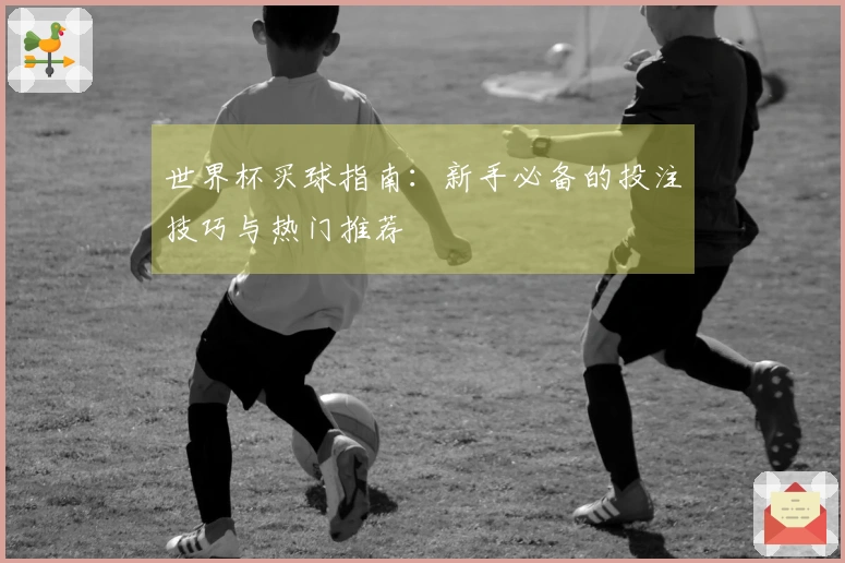 世界杯买球指南：新手必备的投注技巧与热门推荐