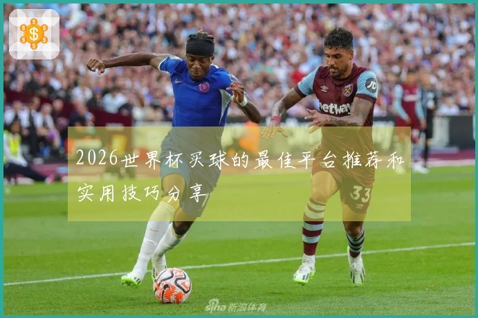 2026世界杯买球的最佳平台推荐和实用技巧分享
